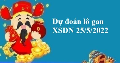 Dự đoán lô gan XSDN 25/5/2022